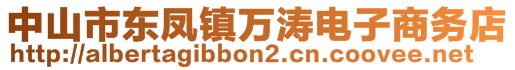 中山市東鳳鎮(zhèn)萬濤電子商務(wù)店