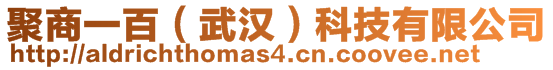 聚商一百（武漢）科技有限公司