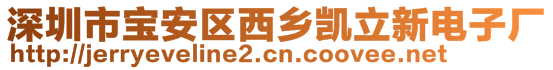 深圳市宝安区西乡凯立新电子厂