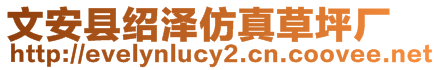 文安縣紹澤仿真草坪廠