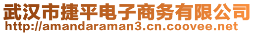 武漢市捷平電子商務(wù)有限公司