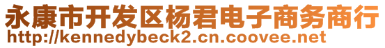 永康市開發(fā)區(qū)楊君電子商務(wù)商行