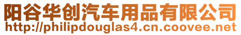 陽(yáng)谷華創(chuàng)汽車(chē)用品有限公司