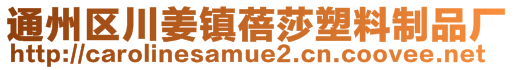 通州區川姜鎮蓓莎塑料制品廠