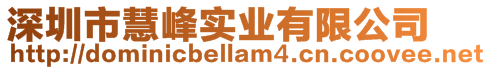 深圳市慧峰實業有限公司