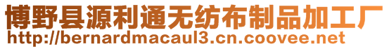 博野县源利通无纺布制品加工厂