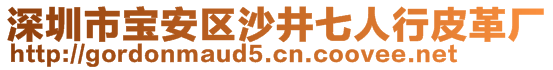 深圳市寶安區(qū)沙井七人行皮革廠