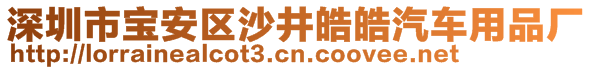 深圳市宝安区沙井皓皓汽车用品厂