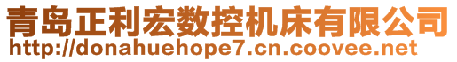 青岛正利宏数控机床有限公司