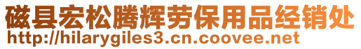 磁县宏松腾辉劳保用品经销处