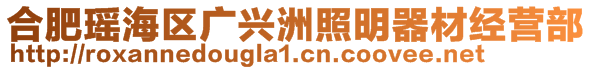 合肥瑤海區(qū)廣興洲照明器材經(jīng)營(yíng)部