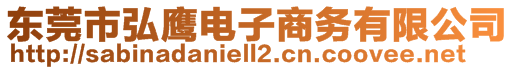 東莞市弘鷹電子商務有限公司