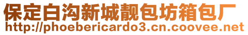 保定白溝新城靚包坊箱包廠