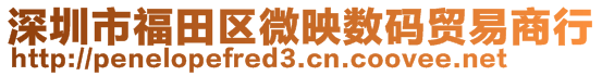 深圳市福田區微映數碼貿易商行