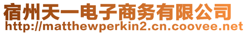 宿州天一電子商務(wù)有限公司