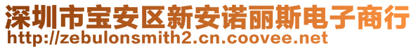 深圳市寶安區(qū)新安諾麗斯電子商行