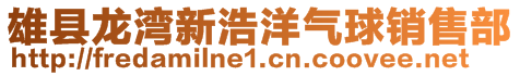 雄縣龍灣新浩洋氣球銷售部