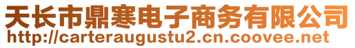 天長市鼎寒電子商務有限公司