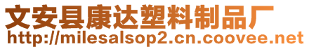 文安县康达塑料制品厂