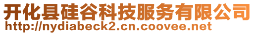 開化縣硅谷科技服務(wù)有限公司