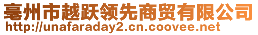 亳州市越跃领先商贸有限公司