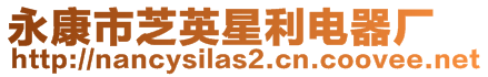 永康市芝英星利電器廠