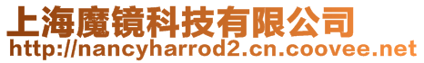 上海魔鏡科技有限公司
