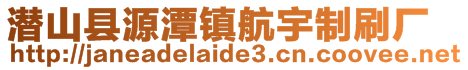 潛山縣源潭鎮航宇制刷廠