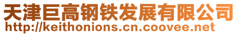 天津巨高鋼鐵發(fā)展有限公司