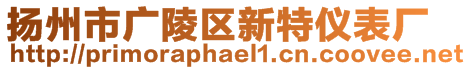 扬州市广陵区新特仪表厂