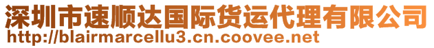 深圳市速順達(dá)國(guó)際貨運(yùn)代理有限公司