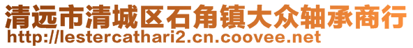 清遠(yuǎn)市清城區(qū)石角鎮(zhèn)大眾軸承商行