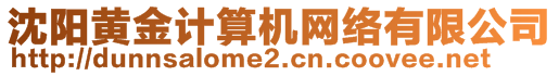 沈陽黃金計(jì)算機(jī)網(wǎng)絡(luò)有限公司