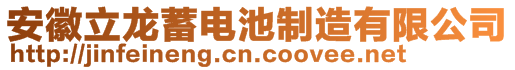 安徽立龍蓄電池制造有限公司