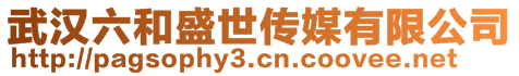 武漢六和盛世傳媒有限公司