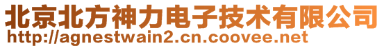 北京北方神力電子技術(shù)有限公司