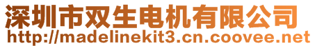 深圳市雙生電機(jī)有限公司