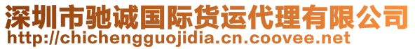 深圳市馳誠(chéng)國(guó)際貨運(yùn)代理有限公司