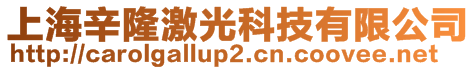 上海辛隆激光科技有限公司