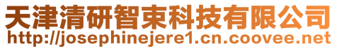 天津清研智束科技有限公司