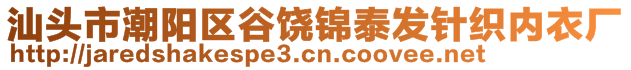 汕頭市潮陽區谷饒錦泰發針織內衣廠