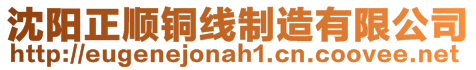 沈陽正順銅線制造有限公司