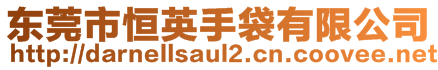 東莞市恒英手袋有限公司