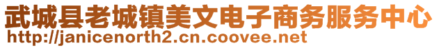 武城縣老城鎮(zhèn)美文電子商務(wù)服務(wù)中心