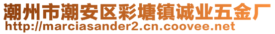 潮州市潮安區(qū)彩塘鎮(zhèn)誠(chéng)業(yè)五金廠