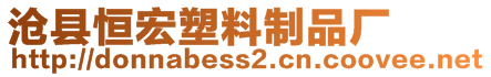 滄縣恒宏塑料制品廠