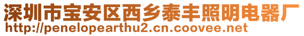 深圳市寶安區西鄉泰豐照明電器廠