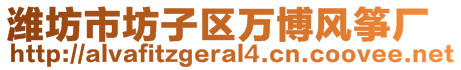 濰坊市坊子區(qū)萬博風(fēng)箏廠