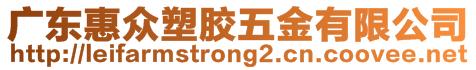 廣東惠眾塑膠五金有限公司