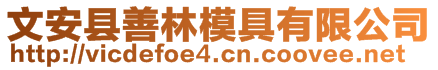 文安縣善林模具有限公司